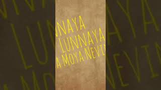 Sonnaya lunnaya isa song songlyricssonnayasong [upl. by Dnomar622]