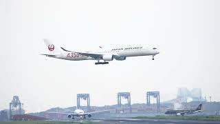 飛行機 成田空港着陸動画 JAL [upl. by Ignacio]