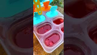 Yummy Ice Making l Watermelon Ice Recipe shorts [upl. by Gnehs358]