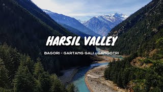 Harsil Valley  Most Beautiful Village of Uttarakhand  Bagori  Gartang Gali  Gangotri  2024 [upl. by Pettit]