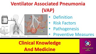 Ventilator Associated Pneumonia VAP  Definition Risk Factors Pathogenesis Preventive Measures [upl. by Alcot]