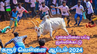 கரூர் வெள்ளை புகளைப்பட்டி 2024 karur vellai [upl. by Inilam]