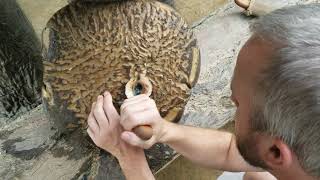 shrapnel landmine elephant foot injury [upl. by Odlaniger]