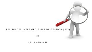 Soldes intermédiaires de gestion et analyse du résultat [upl. by Yeltnarb]