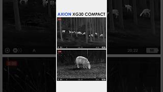 Unveiling the Axion XG30 amp XG35 Compact Powerful Thermal Imaging in Any Weather pulsarvision [upl. by Phedra]