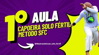 AULA DE CAPOEIRA PARTE 1 [upl. by Aerdnat430]