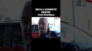 Gigi Becali despre Tavi Popescu becali fcsb viralvideo fotbal paokfc [upl. by Francie]