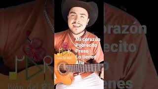 🎻🇲🇽🎵 La soledad que bonito huapango desde el estudio de cotidianos México con Iván del Río en la gtr [upl. by Mobley370]