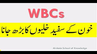 WBCs increase Leukocytes explained Urdu خون میں سگید خلیوں کا بڑھ جانا [upl. by Aney41]