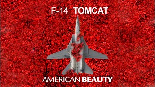 F14 Tomcat  American Beauty [upl. by Eatnoid]