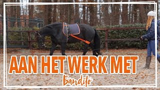 Bandito longeren met een nieuw hulpmiddel  BBLastic [upl. by Tamqrah]