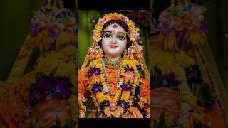 Ras vilasini shree radhe 🙏👀🌼 jairadharani shreeradha trending shorts viralvideo whatsappstatus [upl. by Clarette236]