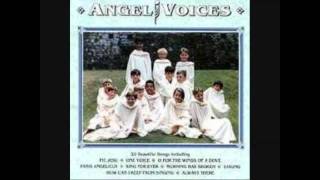 LiberaAngel Voices  Panis Angelicus 1988 1992 2010 [upl. by Enyrehtak]