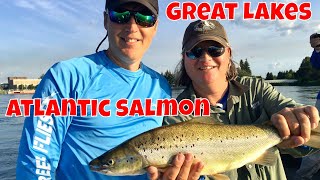 Great Lakes Atlantic Salmon Fishing  Ontario [upl. by Rezeile]