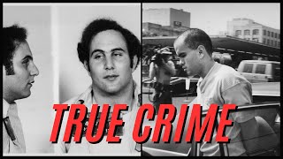 True CRIMES That Changed US Laws [upl. by Ijar]