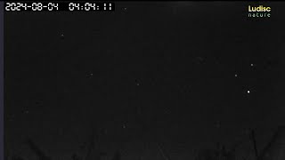 Perseids meteor shower  Live night sky with infrared camera  maybe some meteor can be seen [upl. by Ballard]