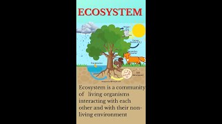 Biosphere  Ecosystem in a nutshell shorts [upl. by Swan]