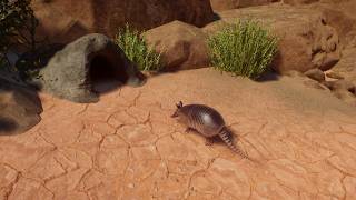 Planet Zoo  Oasis Springs Armadillo Habitat [upl. by Eiramlehcar]