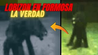 VIDEO DEL LOBIZON EN ARGENTINA Ox Investigador [upl. by Asiluy]