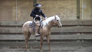 Mackenzie Ranch Stallion  Sixes Frosted Suede [upl. by Alfons]