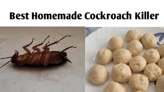 How To Kill Cockroaches Using Boric Powder  Safe and Effective Way to Kill Cockroaches  Works 100 [upl. by Paul89]