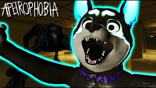 I FACED MY APEIROPHOBIA PLAYING ROBLOX [upl. by Allista]