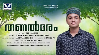 Meelad Special Song Ansil Mihammed [upl. by Qooraf]