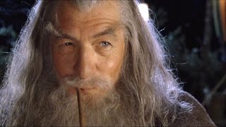 Gandalf Kills Sam  LOTR [upl. by Garvey825]