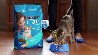 Protege la salud de tu gato con Cat Chow Defense Plus [upl. by Reade]