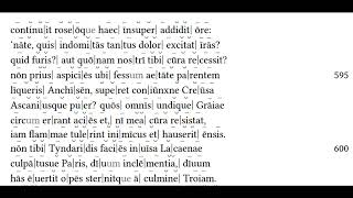 Aeneid Book II 559633 Latin Reading Hexameters [upl. by Aticilef]