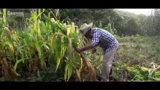 VELOZ DE LA SIERRA  LA VIDA EN EL CAMPO VIDEO OFICIAL [upl. by Nyberg249]