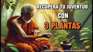 Las 3 Mejores Plantas para la Juventud Colágeno Natural y Piel Perfecta [upl. by Anelrahs]