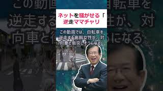 ネットを騒がせる「逆走ママチャリおばさん」の真実はじめに近年、ネット上… 海外の反応 ma5 [upl. by Magdalena]