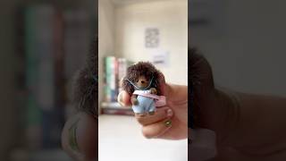 unboxing del bebe erizo 🫶🏼¿Cuál es tu preferido♡sylvanianfamilies calicocritters cute [upl. by Alanna]