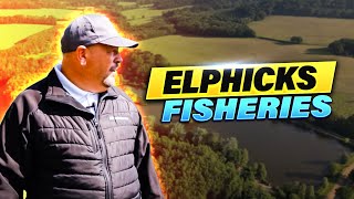 Exploring Elphicks Fisheries  SB Diaries 🎣 [upl. by Anwad]