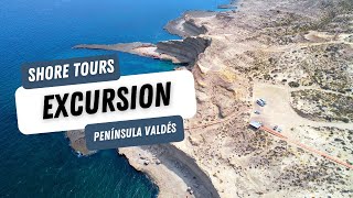 Shore Tours Excursion Península Valdés  Puerto Madryn Argentina [upl. by Kartis]