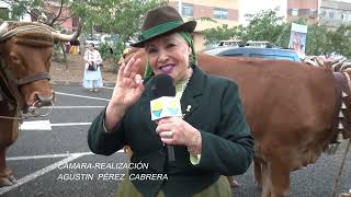 Romeria San Antonio Abad Tamaraceite 20 01 2024 [upl. by Coletta]