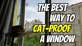 The BEST and EASIEST way to CATPROOF your windows [upl. by Oiramat167]