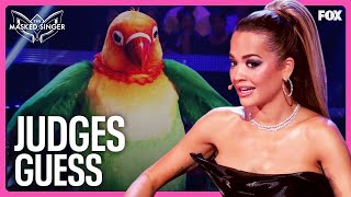 Judges Guess for Lovebird  Season 11  The Masked Singer [upl. by Eineg813]