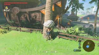 Most Frustrating Korok Seed To Get [upl. by Cargian281]