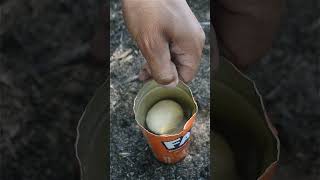 Bushcraft Survival Skills FANTA  Eggs bushcraft camping survival lifehacks outdoors shorts [upl. by Aisel]