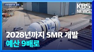 게임체인저 SMR 설계부터 제작까지 우리 손으로  KBS 20240223 [upl. by Haleehs]