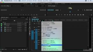 Premiere Pro 編集効率化：トラックの高さを設定｜Lyndacom 日本版 [upl. by Ackerman]