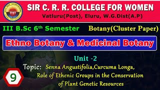 9 BSc 36Ethnobotany amp Medicinal BotanyUnit 2 Senna AngustifoliaCurcuma Longa [upl. by Pasco]