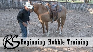 Hobble Training  Everyday Horsemanship [upl. by Thane]