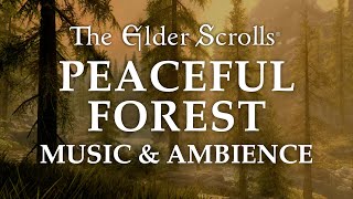 The Elder Scrolls Music amp Ambience  Peaceful Forest 5 Beautiful Scenes with Calm Music Mix 6 Hrs [upl. by Persas]