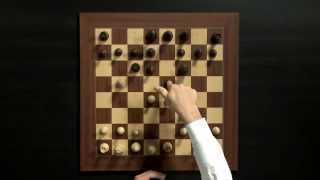 Magnus Carlsen Chess Training on Play Magnus App How to Play the Opening [upl. by Enelegna]