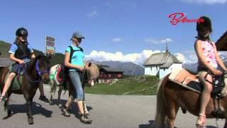 Sommer auf der Bettmeralp [upl. by Teresa370]