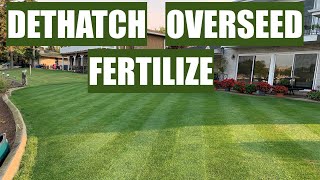 DETHATCH OVERSEED and FERTILIZE for the BEST LAWN [upl. by Nycila]