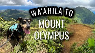 Waahila ridge trail to Mount Olympus hike Oahu Hawaii [upl. by Naliorf]